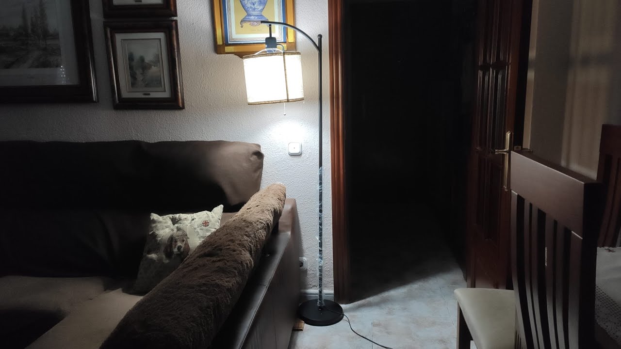 Review: Tomshine Lampara de Pie LED 170cm Regulable Mando a Distancia