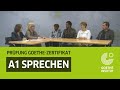Goethe Zertifikat A1 Start Deutsch 1 Sprechen German A1 Oral Exam