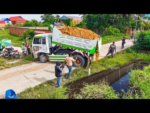 First Starting A New Project!! Filling Land By Bulldozer Push soil With 5ton Trucks