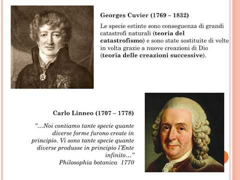 Teorie Pre evoluzioniste