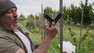 How To Build An Insect Netting Frame To Cover Your Trees