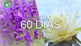Air Wick Scented Oils de un aroma increíble por hasta 60 días *