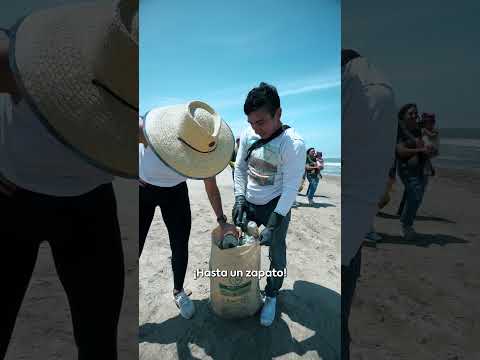 Día Mundial De La Limpieza De Playas ❤️