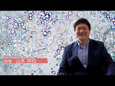 広島大学生物生産学部　教授に聞く　山本 祥也 助教