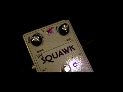 Plum Crazy FX - The Squawk (w/ Les Paul)