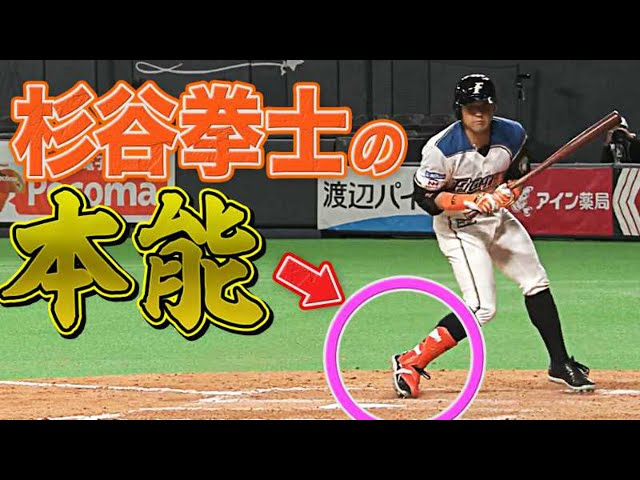 【何かが起きる!?】ファイターズ・杉谷『本能』おさえて2出塁