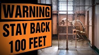 10 Most Dangerous SCP Creatures You&#39;ve Never Heard Of