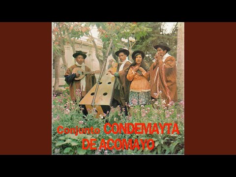 Ingrata No Seas - Condemayta Acomayo