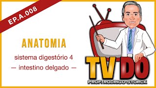 EP A 008 - Anatomia: sistema digestório 4 (intestino delgado)