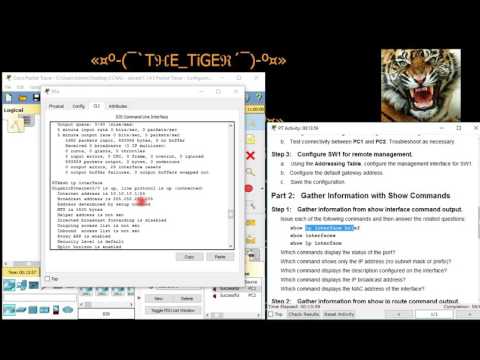 شرح مبسط ل Configuring and Verifying a Small Network - CCNA2 - 1.1.4.5