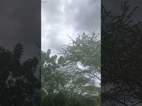 cielo totalmente nublado en bosconia César costa norte Colombia sur américa