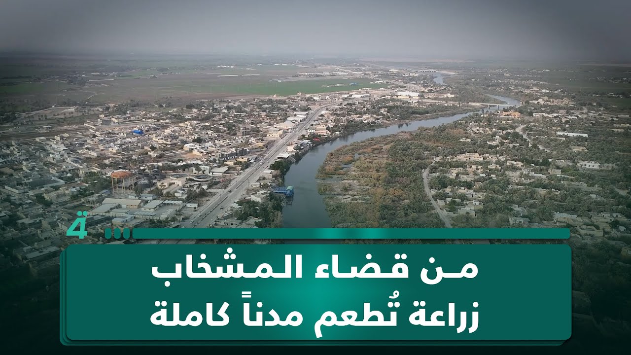 فيديو | من قضاء المشخاب..زراعة تُطعم مدناً كاملة.. والتمن الأسود علامة فارقة.. وقصص صادمة عن نبش القبور