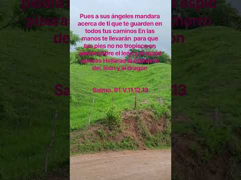 Jesús #te ama #jesus #greenscreen #automobile