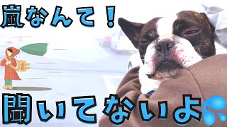箱根に出かけたら大変だった！💦