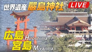 Hiroshima Miyajima Itsukushima live stream