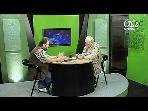 Verdictul stiintei: Creatie 9.8 - Culoarea pielii si rasele