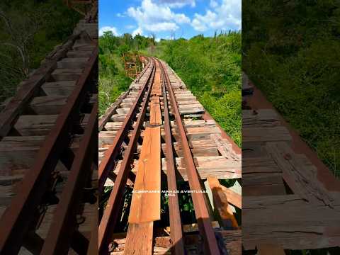 Tudo que vai volta!! Trilha em Jussara Pr.  #trilha #trilhando #aventuras #meumundo #jussara