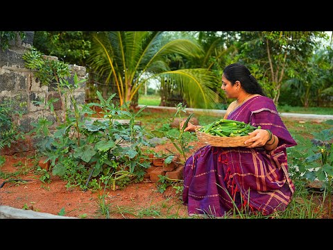 I made DAHI BHINDI for lunch, Crispy Ladies Finger/Okra Chips for eve snack | The Traditional Life