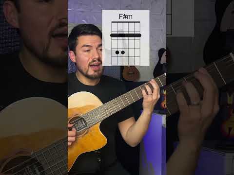 Pêlo E Flor - Leandro Berlesi