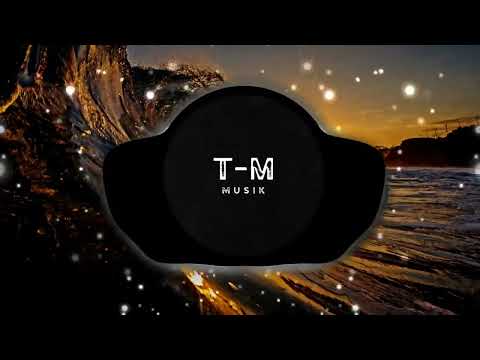 Calvin - California Diva ft. Juls & Tobey Nize | T-M Musik