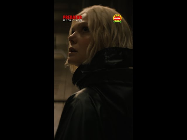 Experience the unexpected.