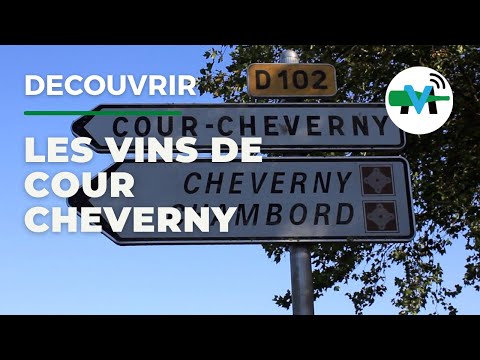 À la découverte des vins de Cour Cheverny