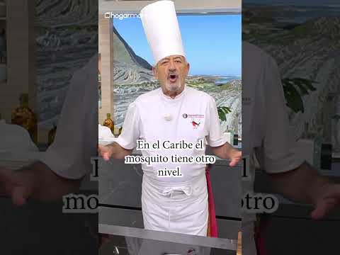 Otro chiste de Arguiñano ¡esta vez de MOSQUITOS! ​​🦟​