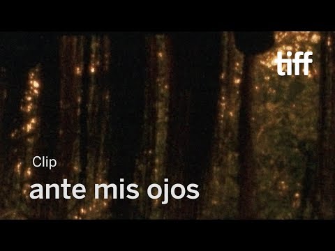 ANTE MIS OJOS Clip | TIFF 2018