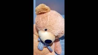 Thunderflare! I&#39;m Your Teddy Bear