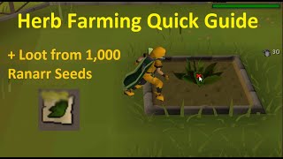 OSRS Herb Farming Quick Guide 2025 + Loot from 1,000 Ranarr Seeds
