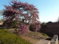 Joachim Raff (Lachen 1822-Frankfurt 1882): "ODE AU PRINTEMPS"  ,for piano and orchestra,Op.76(1857).