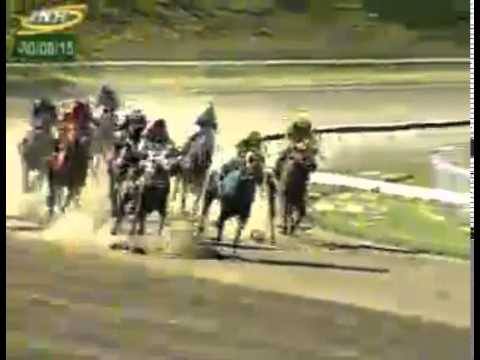 LA RINCONADA 8 CARRERA, DOMINGO 30 DE AGOSTO DEL 2015