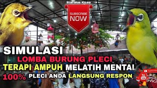 Download lagu SIMULASI LOMBA BURUNG PLECI || TERAPI AMPUH MELATIH MENTAL PLECI JADI FIGHTER mp3 Download lagu SIMULASI LOMBA BURUNG PLECI || TERAPI AMPUH MELATIH MENTAL PLECI JADI FIGHTER mp3