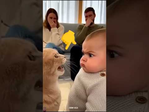 Tiny Baby & Cute Kitten Moments 🥰 #funnyshorts #viralshorts #shortsfeed