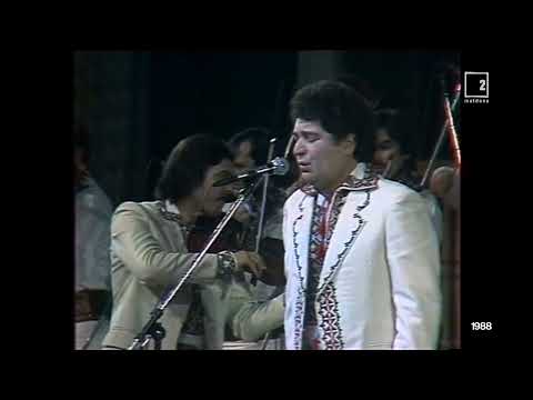 Nicolae Sulac - Intr-o iarna lunga grea Anul 1988  alaturi de Lautari, MEMORABIL!