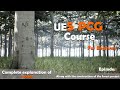 UE5 PCG Tutorial For Beginners Step By Step Guide To Procedural Generation Episode 1 Ue5 Pcg