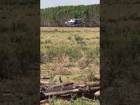 Helicóptero trabajando en el incendios forestales de Algorta en Río Negro, Uruguay.!!!!!