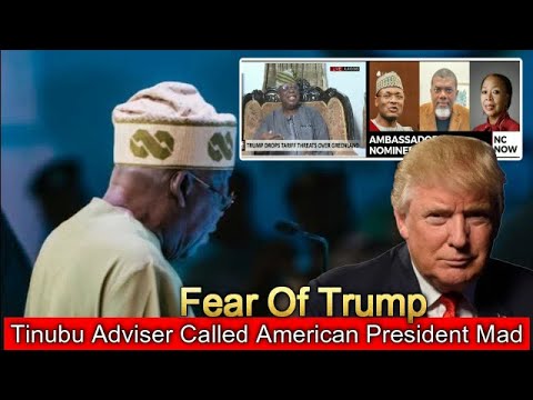 Tinubu's Adviser Calls Trump A Mad Man & This Happened