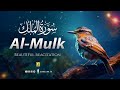 World S Most Beautiful Recitation Of Surah MULK The Kingdom سورة الملك Zikrullah TV