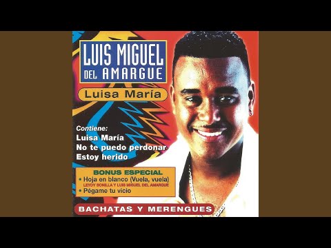 No Te Puedo Perdonar