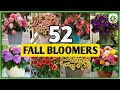 52 Fall Flower Plants For Garden Best Fall Flower Plants To Grow In Autumn Plant And Planting