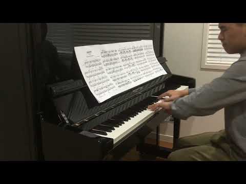 Melanie Chasselon - Nocturne ‘Abandon’