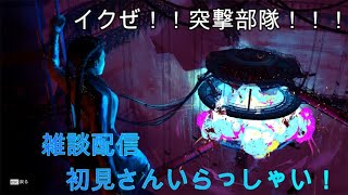 ソロダイア達成！？からソロで突るAPEX