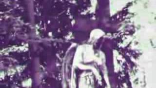 Photovideo - Brompton Oratory by Nick Cave