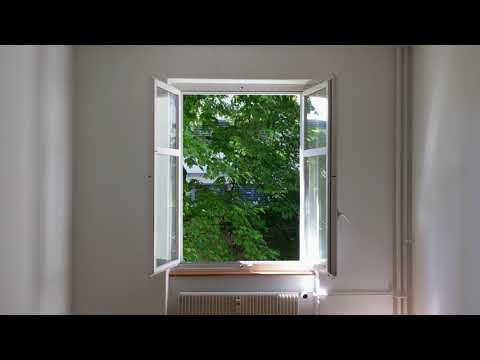 Tobias Carshey - Maggie (Official)