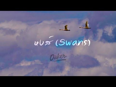 OAKER - หงส์ (SWANS)