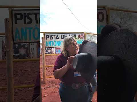 11° leilão Hospital de Amor na Fazenda Candinho em Cachoeira Dourada GO 6/9/2026 # #goiás #brasil