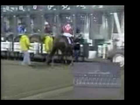 Spike It And Fly - So Cal Derby