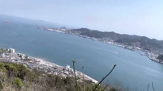 【下関市】火の山展望台の桜