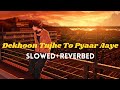 Dekhoon Tujhe To Pyaar Aaye Apne Movie Slowedandreverb